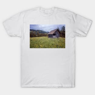 Cabin on the Mountain T-Shirt